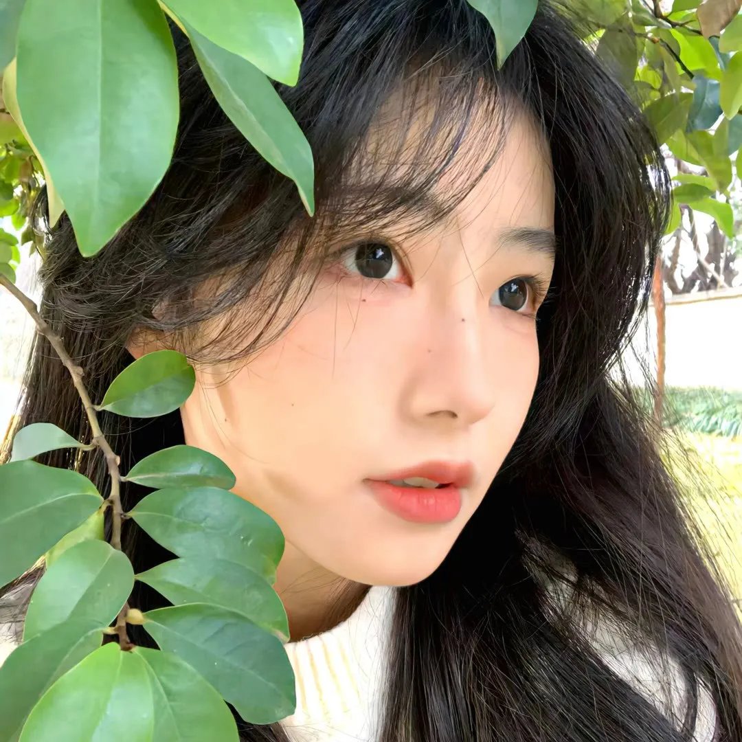 驭影师